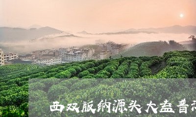 西双版纳源头大益普洱茶/2023120710381