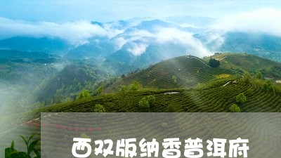 西双版纳香普洱府/2023042766492