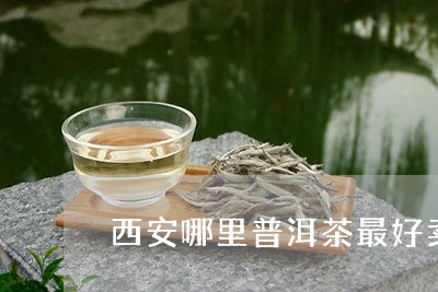 西安哪里普洱茶最好卖的地方/2023121893258