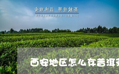 西安地区怎么存普洱茶/2023120661846