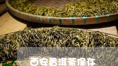 西安普洱茶保存/2023121818470