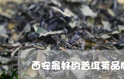 西安最好的普洱茶品牌是什么/2023110886370