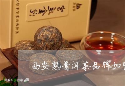 西安熟普洱茶品牌加盟代理/2023051075483