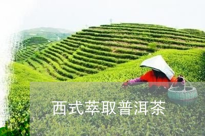 西式萃取普洱茶/2023101608272