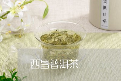 西昌普洱茶/2023090511603