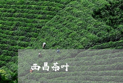 西昌茶叶/2023121929370