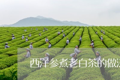 西洋参煮老白茶的做法视频/2023042803816