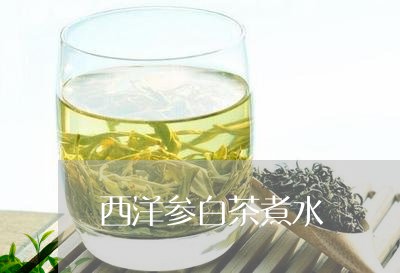 西洋参白茶煮水/2023060958280