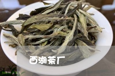 西湖茶厂/2023090182716