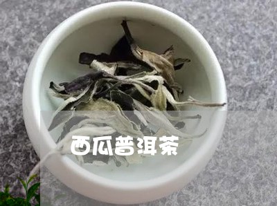 西瓜普洱茶/2023090670414