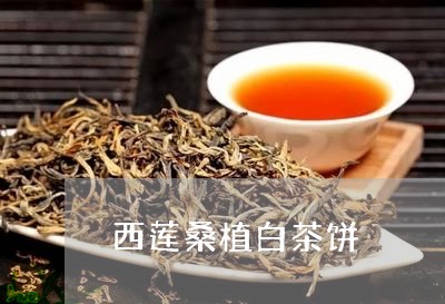 西莲桑植白茶饼/2023060983616