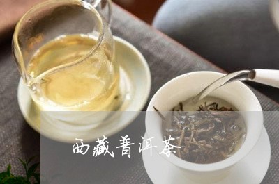 西藏普洱茶/2023090669514