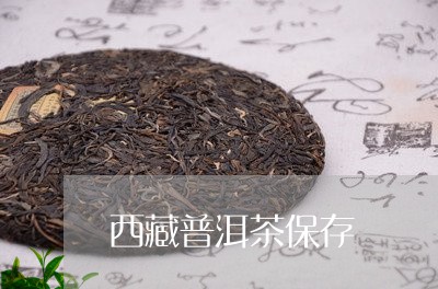 西藏普洱茶保存/2023121859401