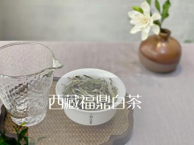 西藏福鼎白茶/2023052304616