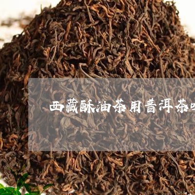 西藏酥油茶用普洱茶吗/2023092792259