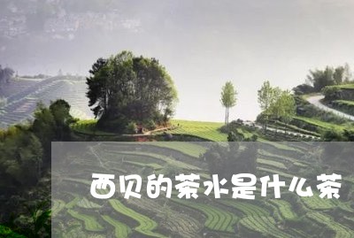 西贝的茶水是什么茶/2023042158463