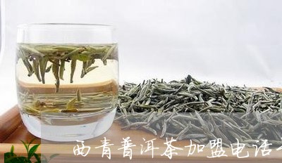 西青普洱茶加盟电话号码/2023081441037