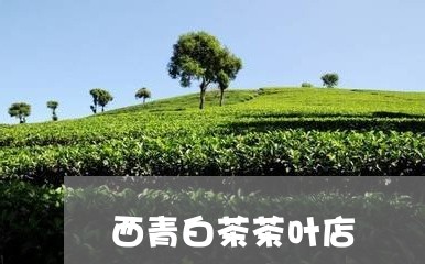 西青白茶茶叶店/2023060921708