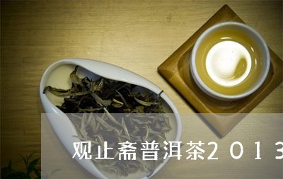 观止斋普洱茶2013/2023062736058