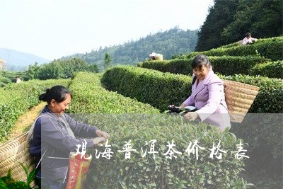 观海普洱茶价格表/2023121819584