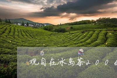 观自在冰岛茶2006/2023061111517