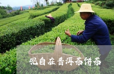 观自在普洱茶饼茶/2023112676037