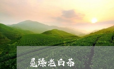 觅臻老白茶/2023051185037