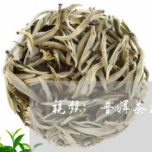 视频:普洱茶加工技术/2023080103717