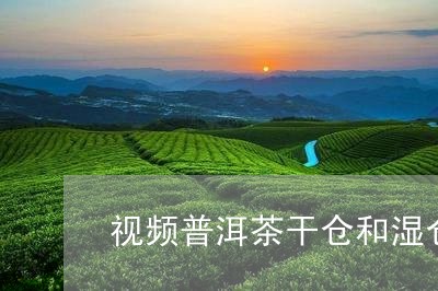 视频普洱茶干仓和湿仓/2023061720481