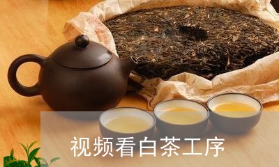 视频看白茶工序/2023060989362