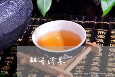 解普洱茶/2023121837415