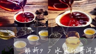 解析97水蓝印普洱茶/2023080319473