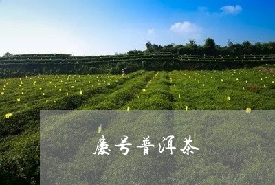 詠庆号普洱茶/2023042539846