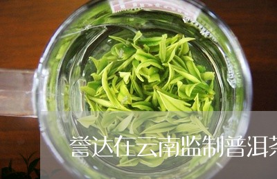 誉达在云南监制普洱茶/2023092921482