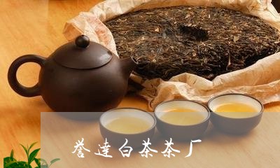 誉达白茶茶厂/2023052367160