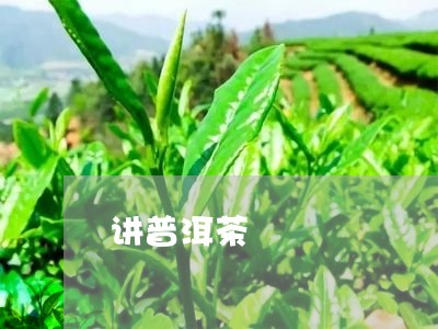 讲普洱茶/2023083182604