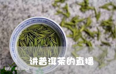 讲普洱茶的直播/2023120379485