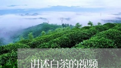 讲述白茶的视频/2023073096160