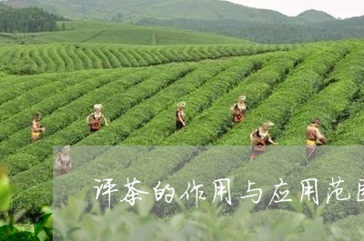 评茶的作用与应用范围/2023071533727