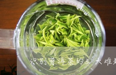 识别普洱茶的5大难题/2023061955269