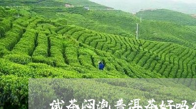 试茶闷泡普洱茶好吗视频/2023081458370