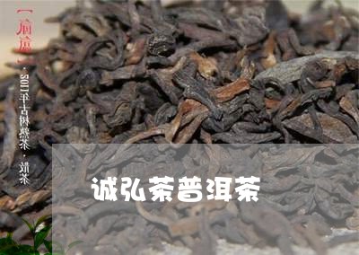 诚弘茶普洱茶/2023042857504