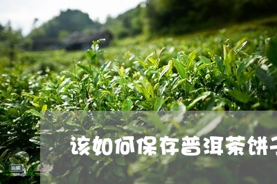 该如何保存普洱茶饼子呢/2023081760582