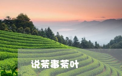 说茶事茶叶/2023090292513