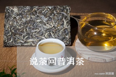 说茶网普洱茶/2023042863795