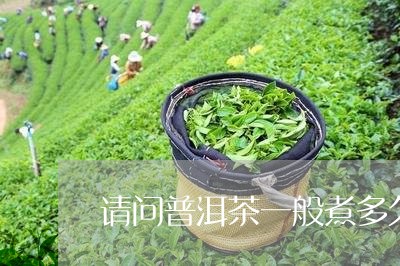 请问普洱茶一般煮多久/2023061608684