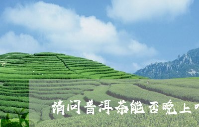 请问普洱茶能否晚上喝/2023080361946