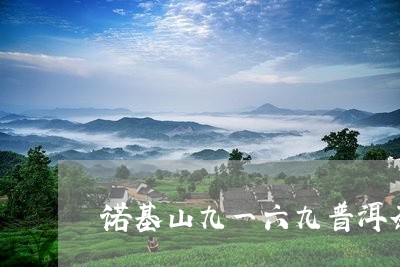 诺基山九一六九普洱茶/2023080238359