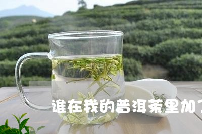 谁在我的普洱茶里加了红牛/2023112928482