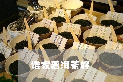 谁家普洱茶好/2023042953764